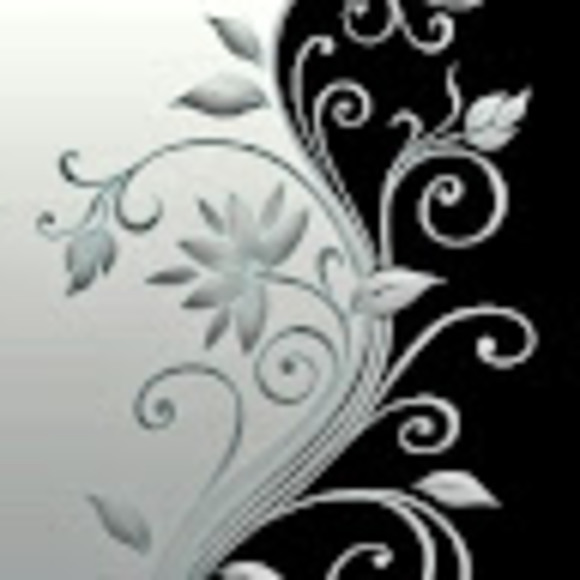 Meet your Posher, Stephanie - Picture 1 of 1